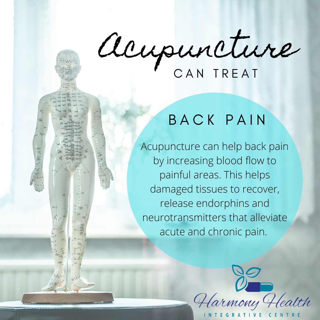 Mindful Movement: Heal Your Back Pain with BAM Therapy - ReaderHouse